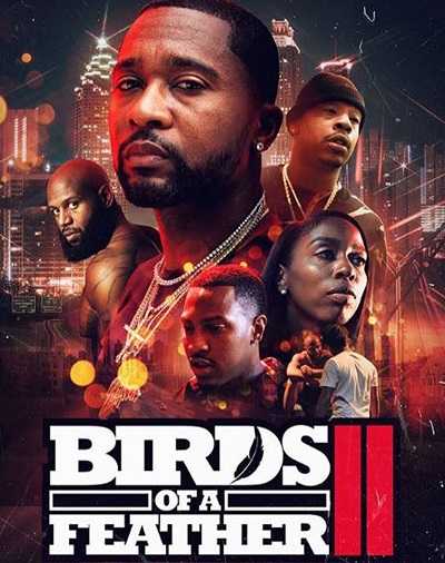 فيلم Birds of a Feather 2 2018 مترجم