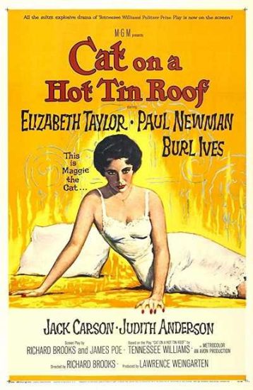 فيلم Cat on a Hot Tin Roof 1958 مترجم