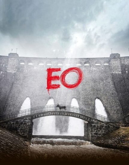 فيلم EO 2022 مترجم