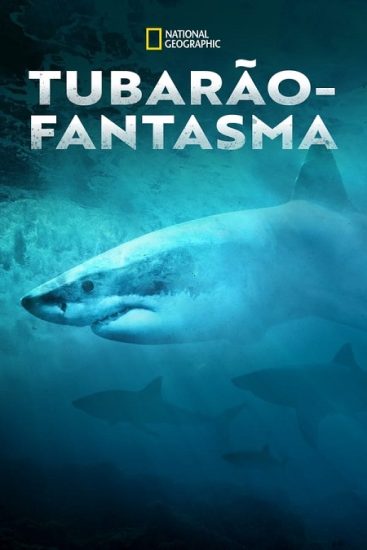 فيلم Camo Sharks 2022 مترجم