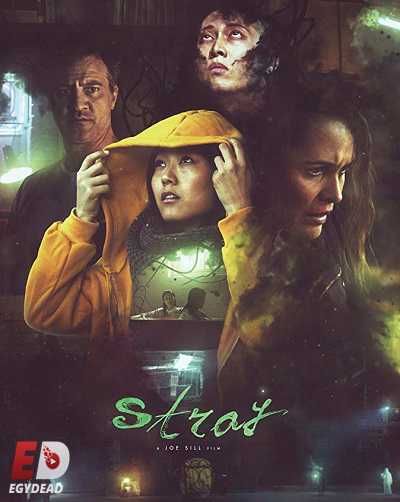 فيلم Stray 2019 مترجم
