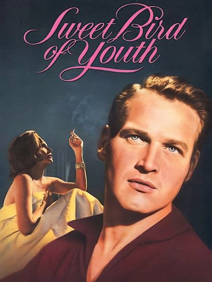 فيلم Sweet Bird of Youth 1962 مترجم
