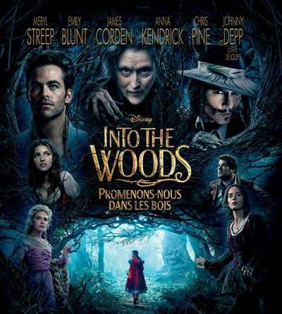 فيلم Into the Woods 2014 مترجم
