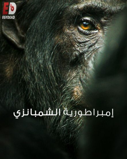مسلسل Chimp Empire حلقة 4 مترجمة