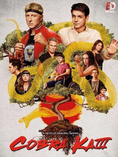 مسلسل Cobra Kai الموسم الثالث
