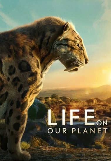 مسلسل Life on Our Planet حلقة 1 مترجمة