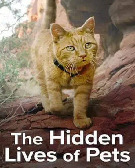 مسلسل The Hidden Lives of Pets الموسم الاول حلقة 4 مترجمة