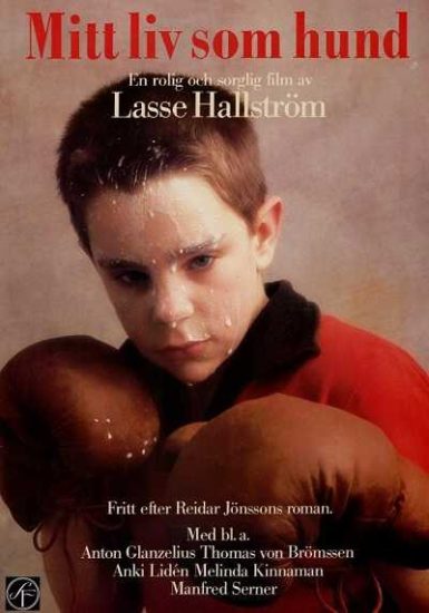 فيلم My Life as a Dog 1985 مترجم