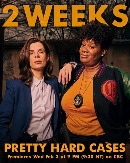 مسلسل Pretty Hard Cases الموسم الثاني