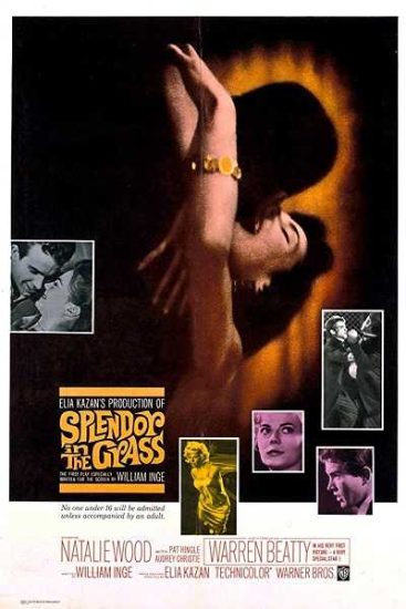 فيلم Splendor in the Grass 1961 مترجم