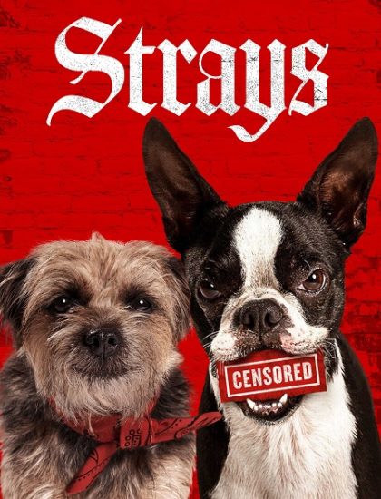 فيلم Strays 2023 مترجم
